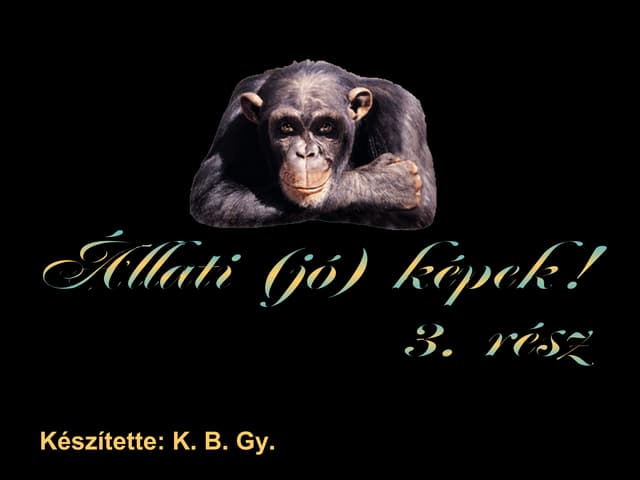 Állati megmozdulások