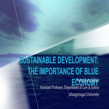 Sustainable Development: The Importance of Blue Economy
