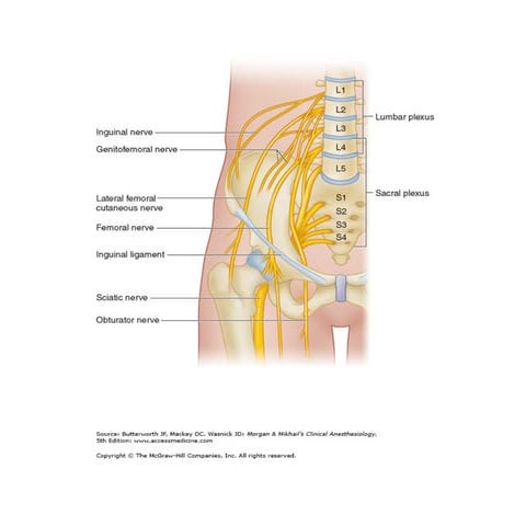 sacral plexus block | PPTX