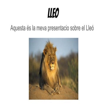 LLEO.pdf