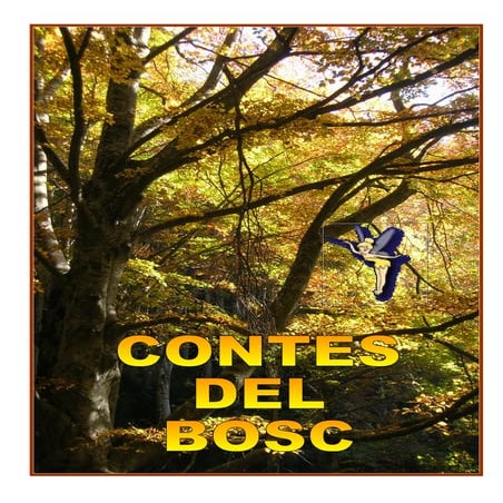 Llibre Contes