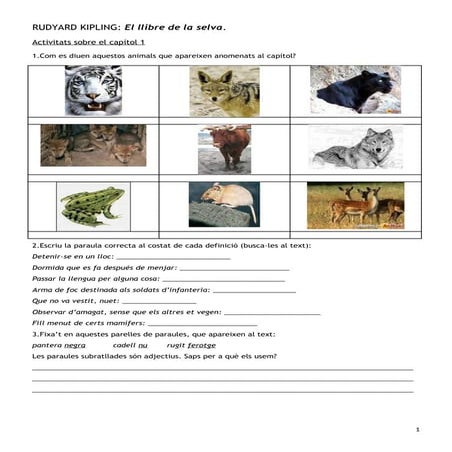 El llibre de la selva - activitats capítol 1