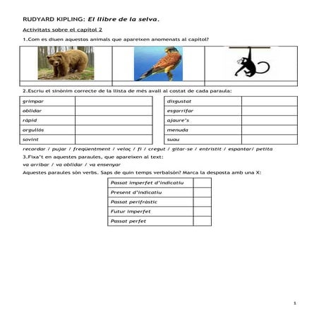 El llibre de la selva - activitats capítol 2