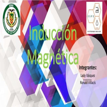 Inducción magnética