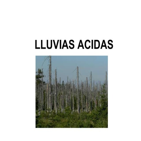 Lluvias acidas2