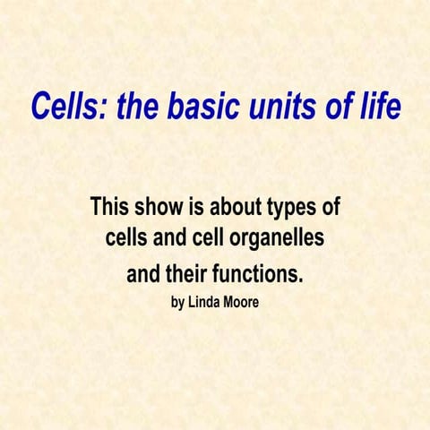 Eukaryotic Cell Parts & Their Functions
