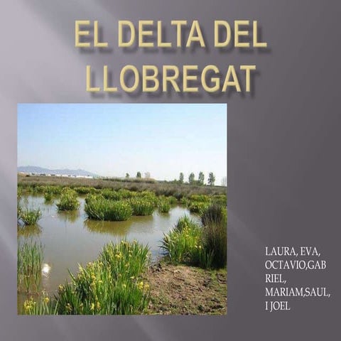 El delta del llobregatmargaridots