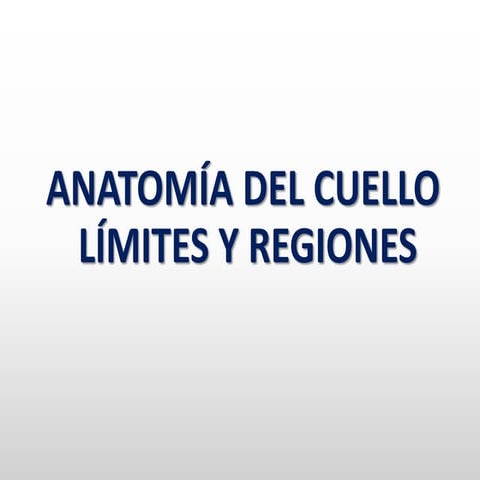 Límites del cuello