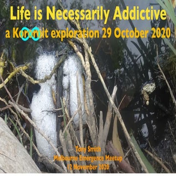 Life as Necessarily Addictive