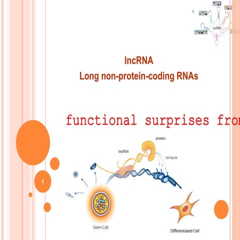 LncRNA (Long noncoding RNA)
