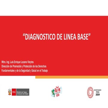 Diagnostico Linea Base Seguridad y Salud
