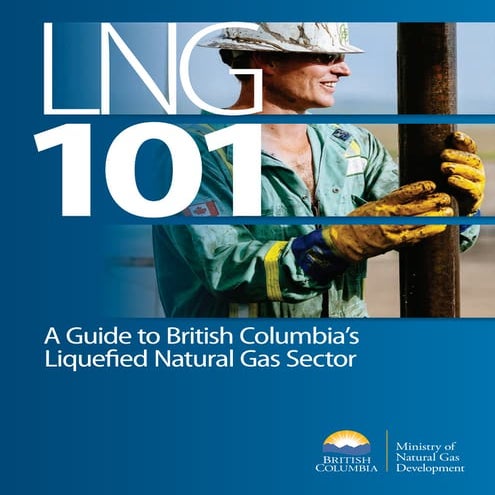 Lng101