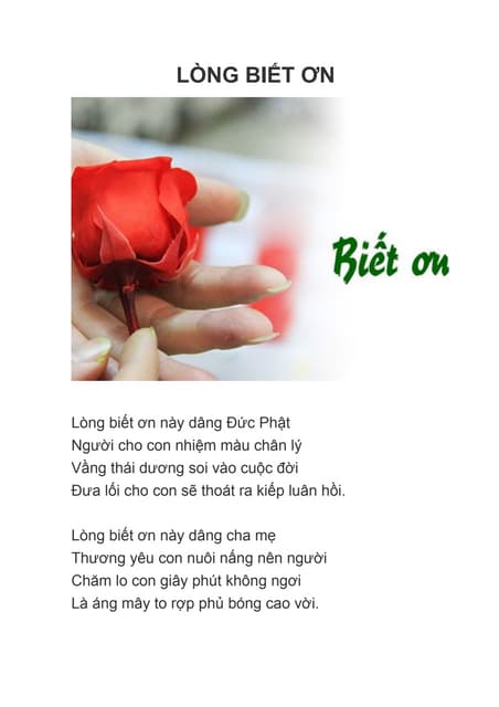 Lòng Biết Ơn Này Dâng Đức Phật: Ý Nghĩa và Giá Trị Tinh Thần