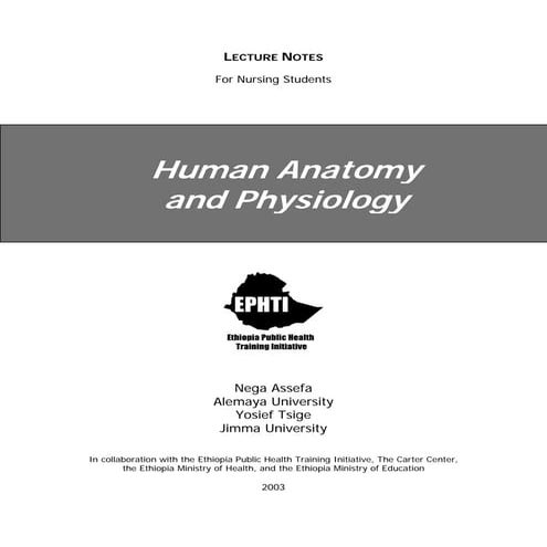 Human Anatomy and physiology Lecture pdf