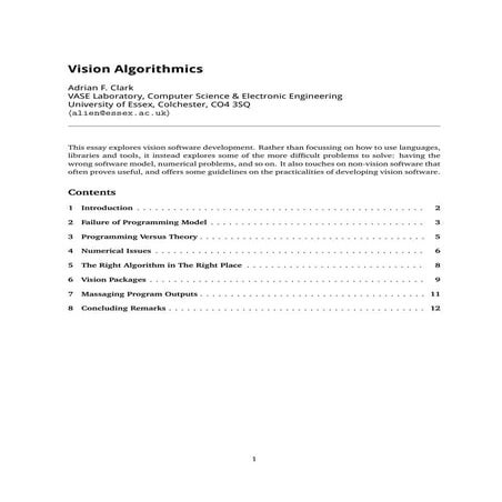Vision Algorithmics