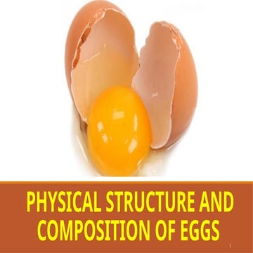 Lesson 6 Physical Structure and Composition of Egg | PPTX