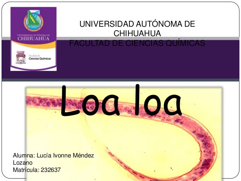 Loa loa(1)