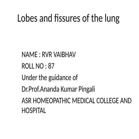 lobes_fissures_lung_ppt.pptx lobes and fissures