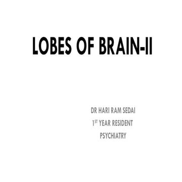 lobes of brain ( parietal, temporal, occipital)