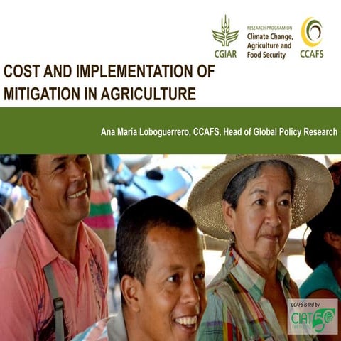 Cost and implementation of mitigation in agriculture | PDF