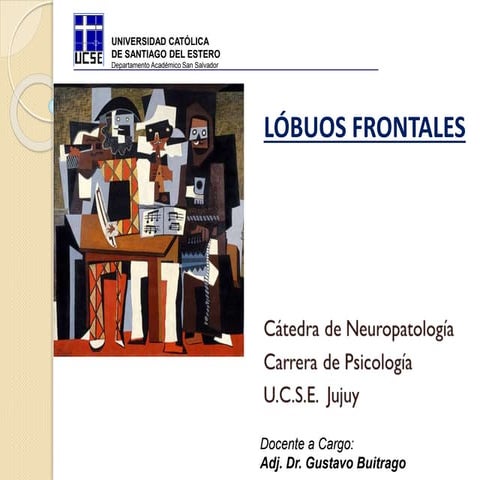 Lobulo Frontal 4° clase