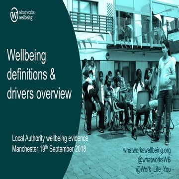 Overview of Wellbeing Definitions & Drivers