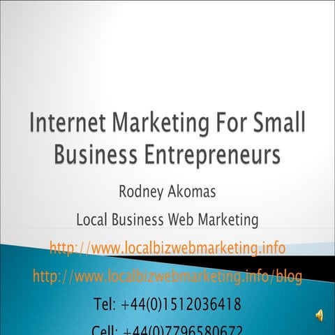 Local Biz Web Marketing Presentation