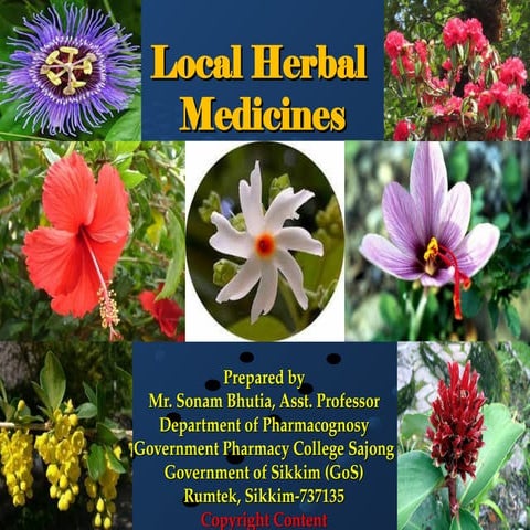 LOCAL MEDICINAL PLANTS FOUND IN SIKKIM HIMALAYA