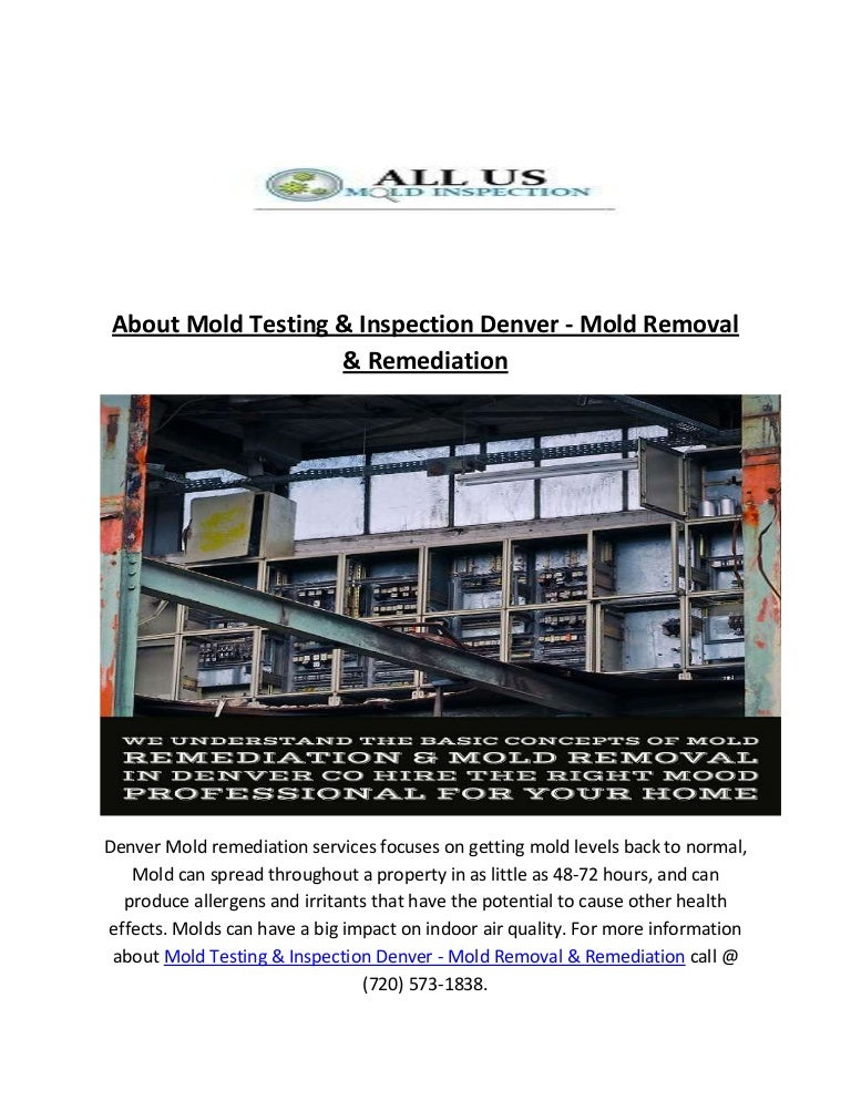 Local Mold Testing & Mold Remediation in Denver, CO