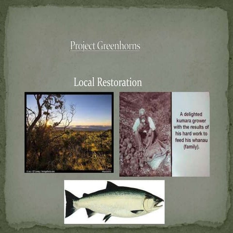 Local restoration spring 14