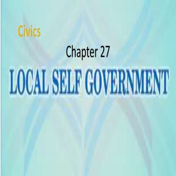 Local self government