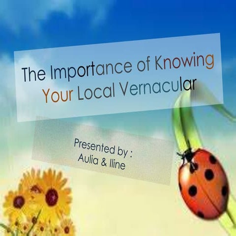 The Importance of Knowing your Local Vernacular 