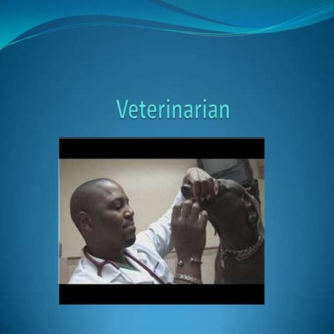 Local veterinarian | PPTX