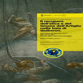 Locandina 29 gennaio 2014