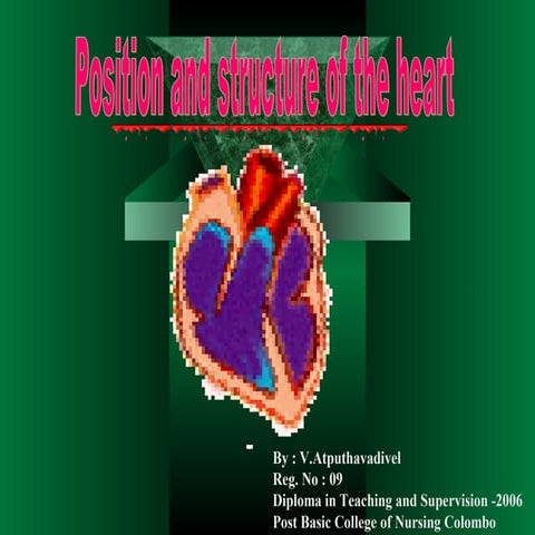 Location & structure  of the heart