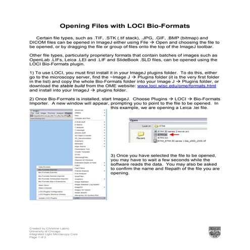 O pening Files w ith LOCI Bio - Formats
