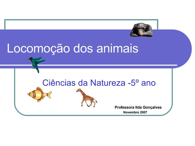 LocomoçãO Dos Animais