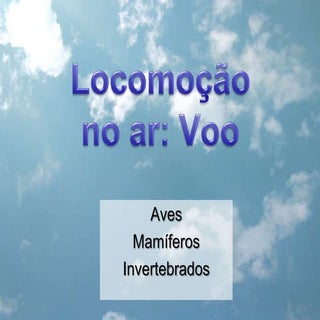 LocomoçãO No Ar