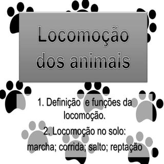 LocomoçãO No Solo