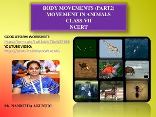 'animals' on SlideShare