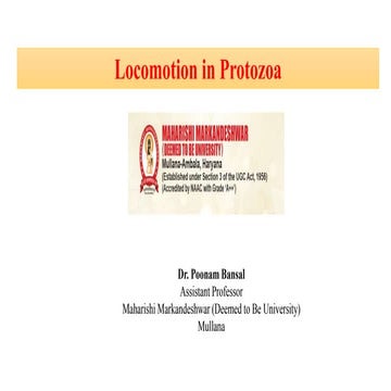 locomotion in protozoa.pptx