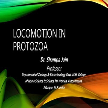 Locomotion in protozoa sj