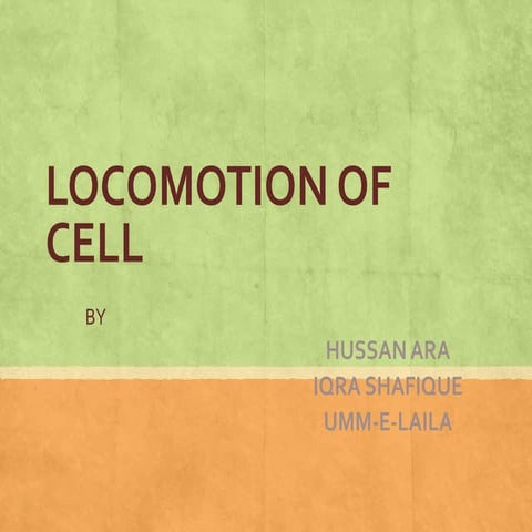Locomotion of cell