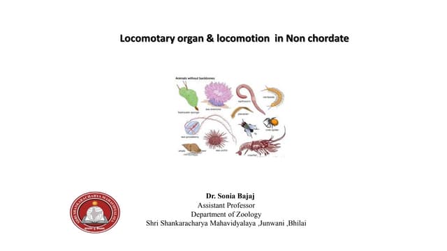 Locomotry organ in non chordata.pptx