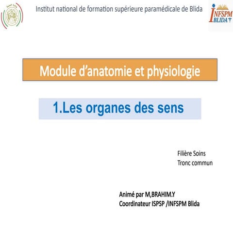 Anatomie et Physiologie des Organes des Sens : Focus sur l'Odorat | PPTX