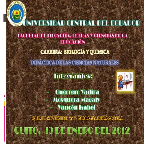 PRINCIPIOS DE LA EDUCACIÓN ECUADOR-MAGALY MOSQUERA