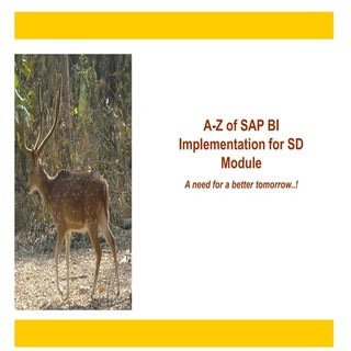 SAP BI Implementation