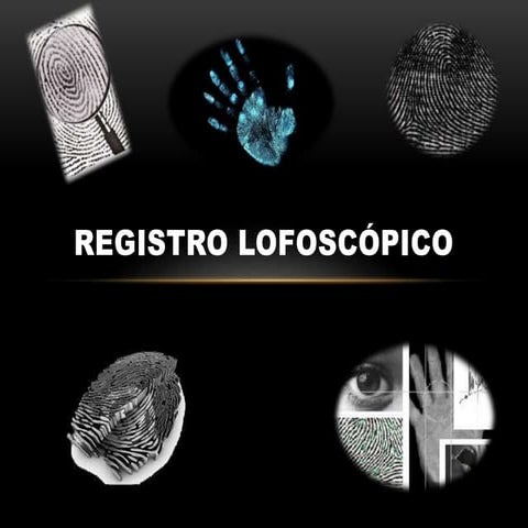 Media Filiación.pdf