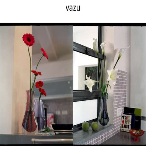 vazu