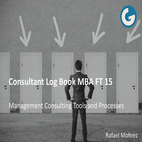 Management Consulting - Logbook - Rafael Mohrez